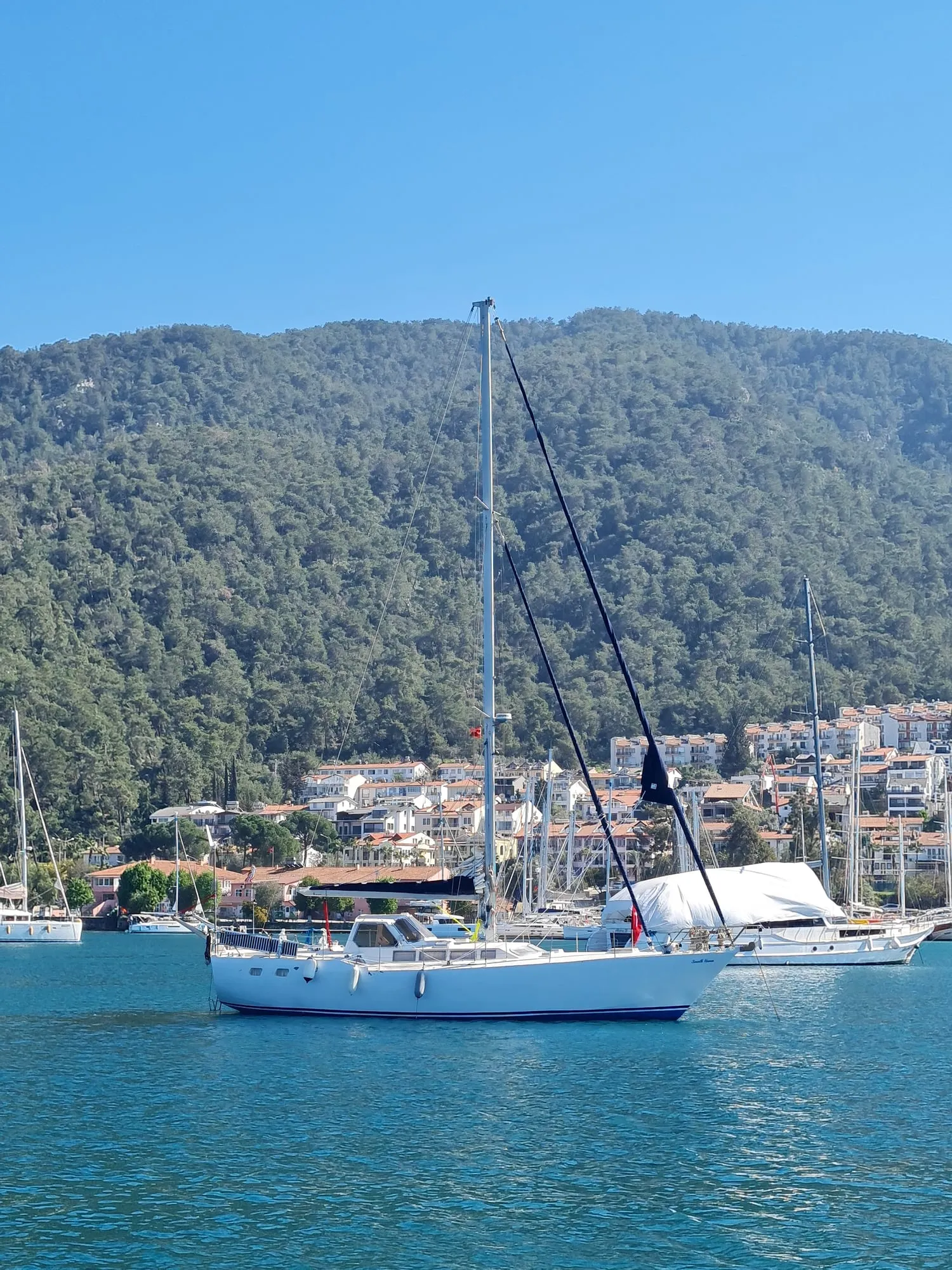 Ormanlık tepelerin önünde marinada yelkenliler